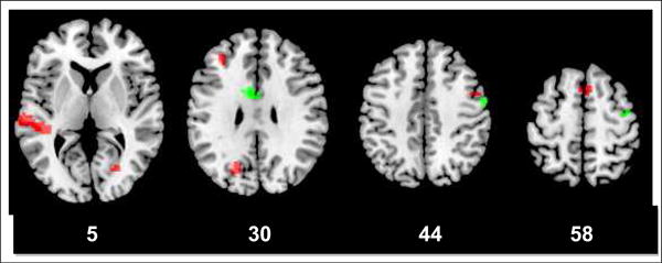 Figure 5