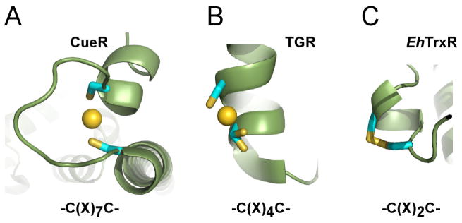 Figure 8