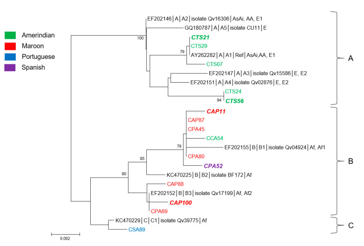 Figure 2