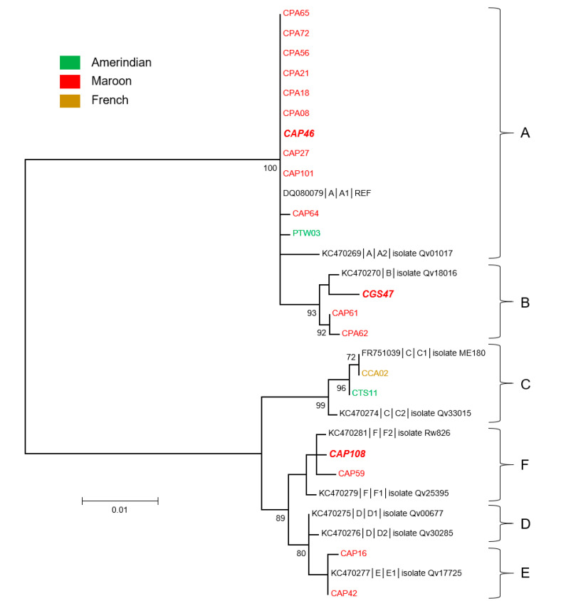 Figure 6