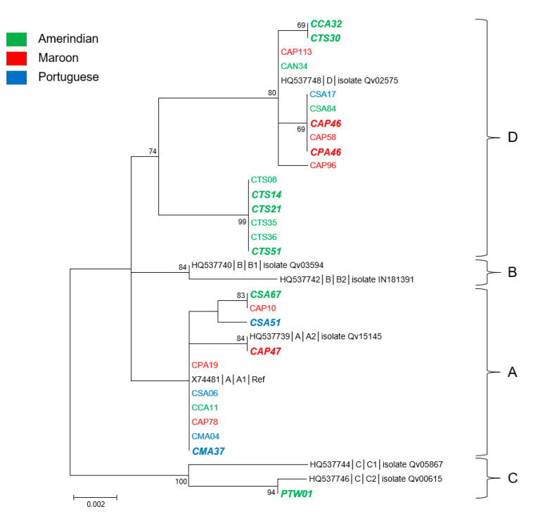 Figure 4