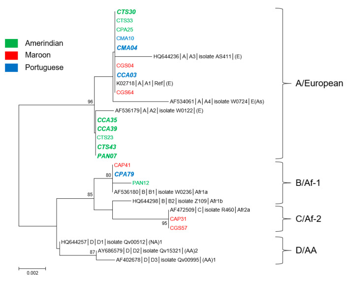 Figure 1