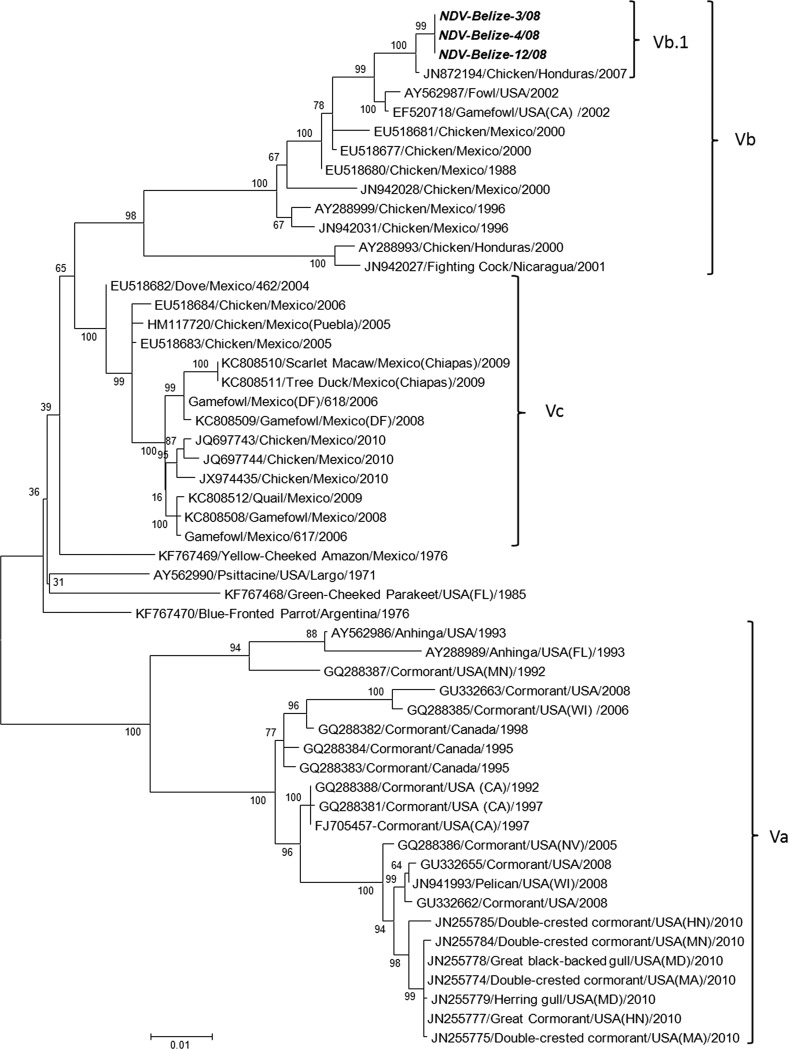 FIG 1