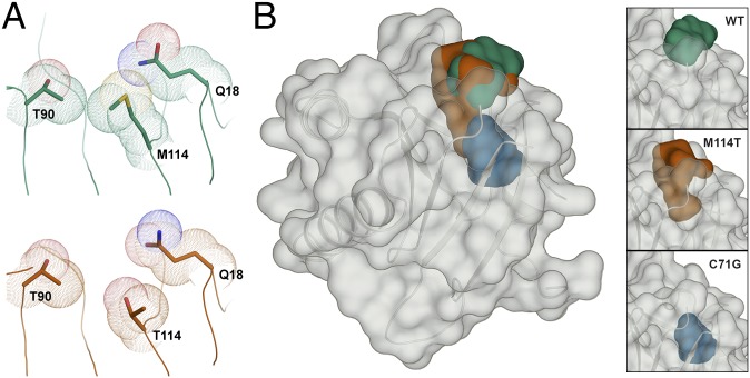 Fig. 7.