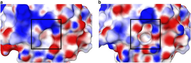 Fig. S9.