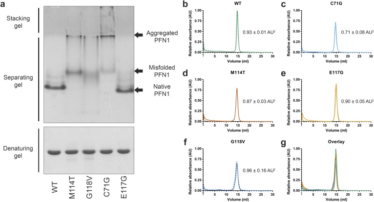 Fig. S5.