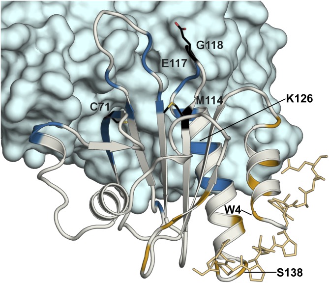 Fig. 4.