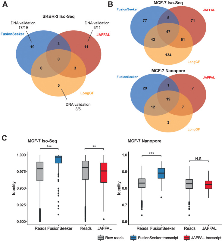 Figure 2. Gene fusion discovery in cancer cell lines. A, Venn diagram of gene fusion calls by FusionSeeker, JAFFAL, and LongGF in SKBR3 cell line. B, Venn diagrams of gene fusion calls by the three fusion callers in MCF7 cell line using Iso-Seq (top) and Nanopore direct RNA-sequencing (bottom) data. C, The identity of raw reads and transcript sequences reported by FusionSeeker and JAFFAL in MCF7 Iso-Seq (left) and Nanopore (right) direct RNA-sequencing dataset. **, P < 0.01. ***, P < 0.001. N.S., not significant. The P values were calculated by Mann–Whitney U test.