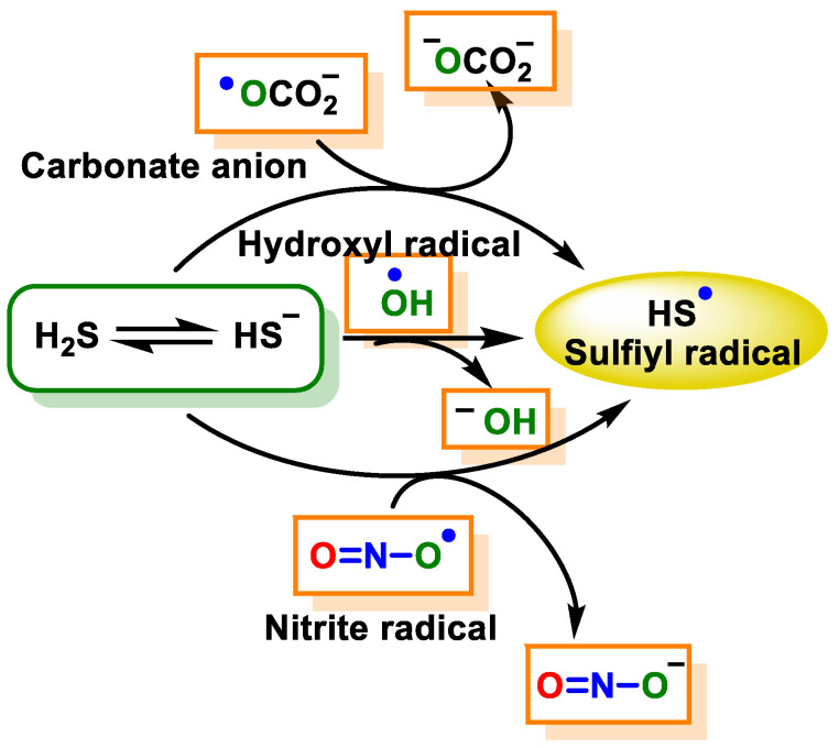 Figure 23