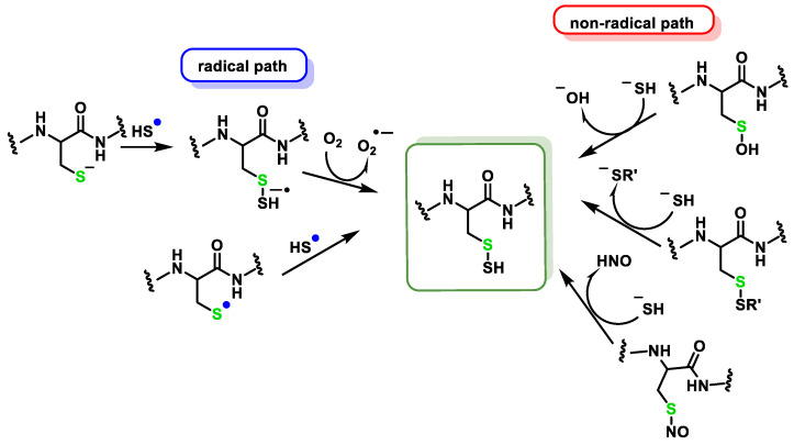 Figure 26