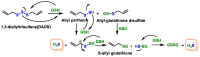 Figure 45