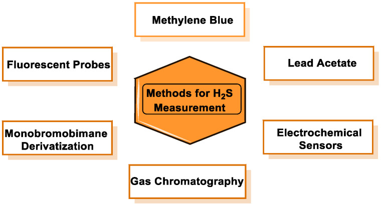 Figure 30