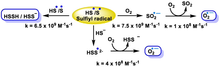 Figure 24