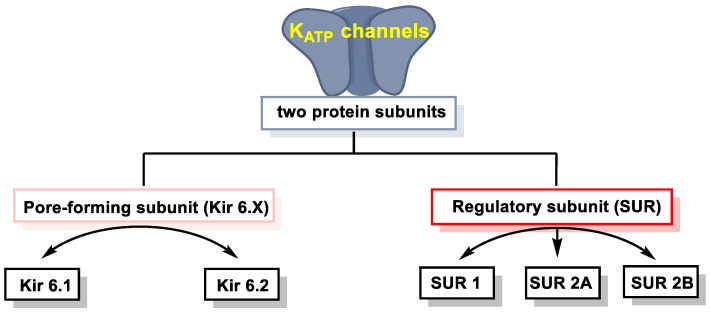 Figure 21