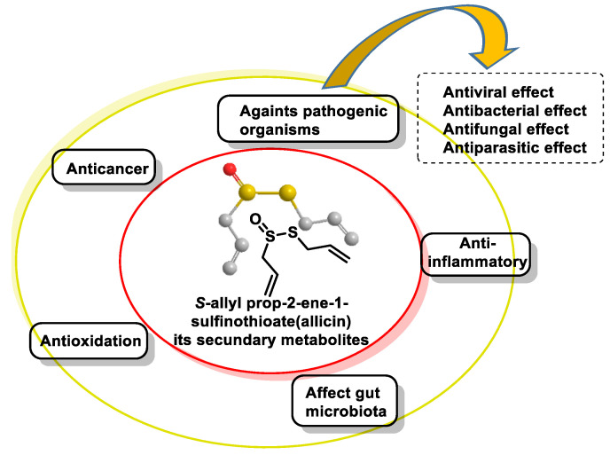 Figure 41