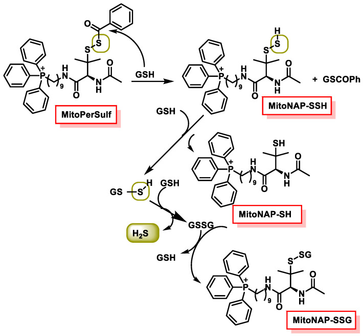 Figure 51