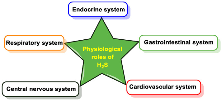 Figure 19