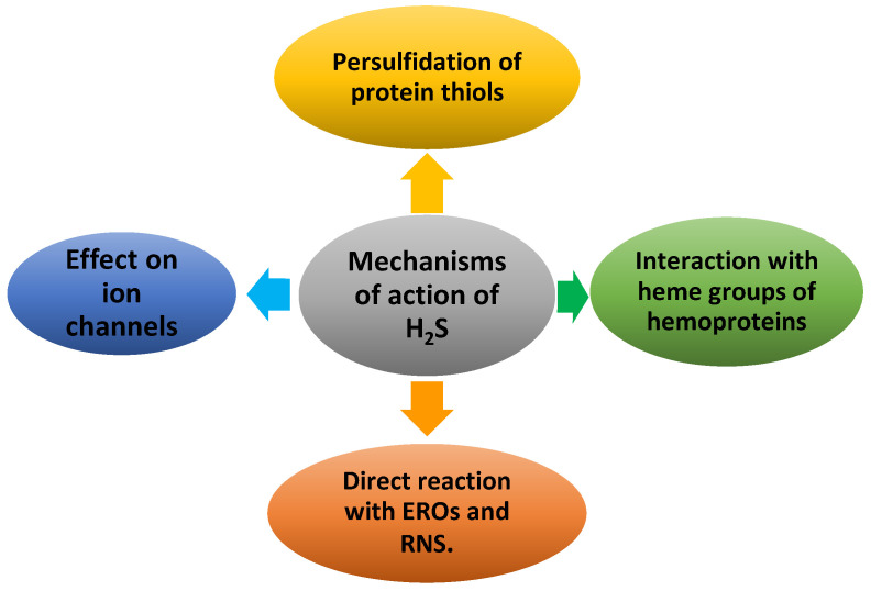 Figure 20