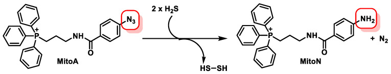 Figure 35