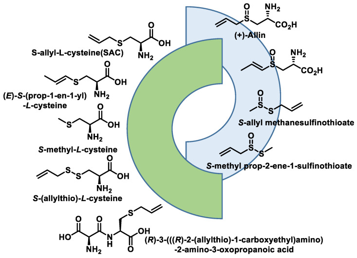 Figure 44