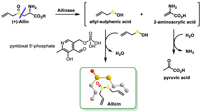 Figure 42