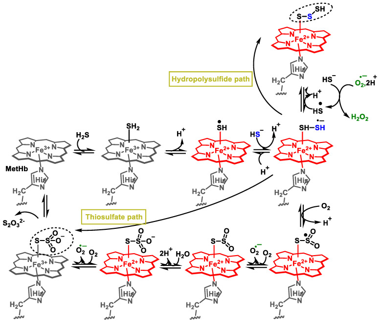 Figure 12