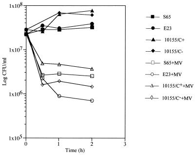 FIG. 4