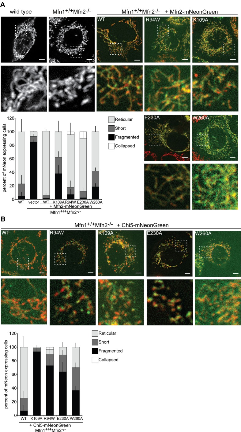 FIGURE 3: