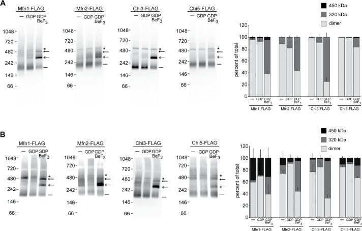 FIGURE 4: