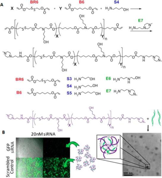 Figure 30