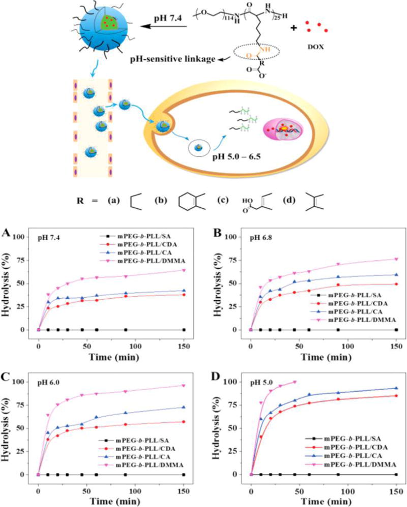 Figure 34