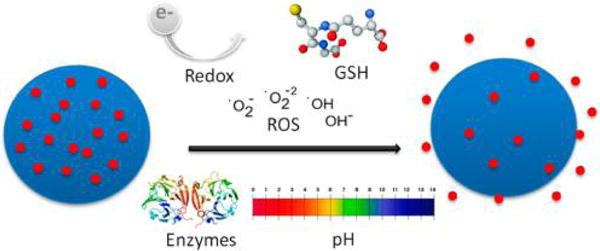 Figure 24