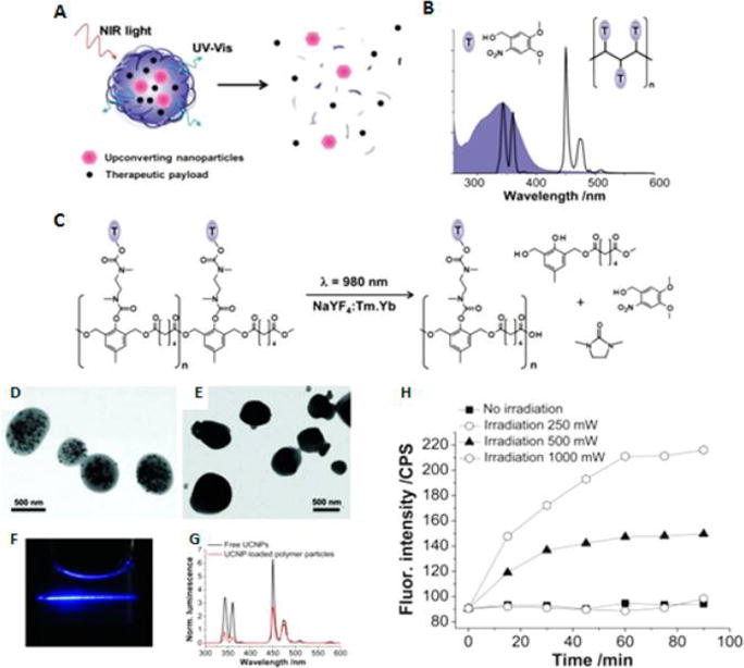 Figure 21