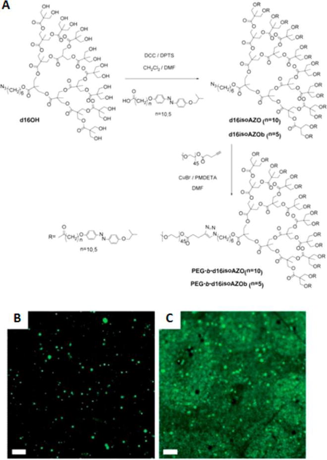 Figure 19