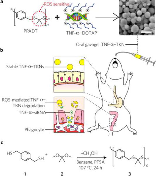 Figure 33