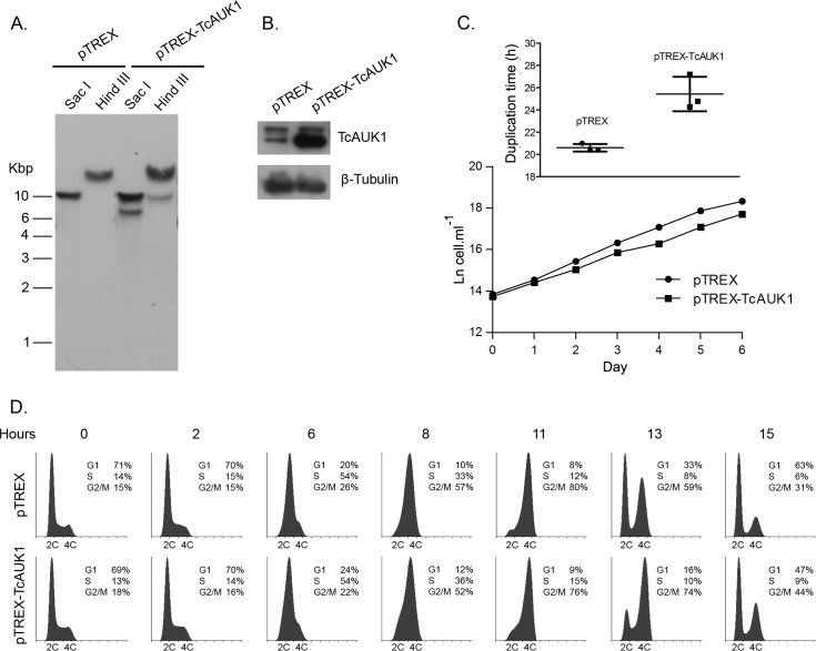 Fig 6