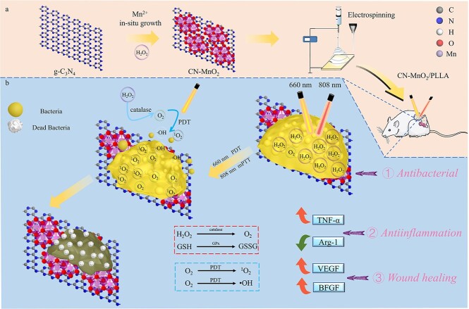 Graphical Abstract