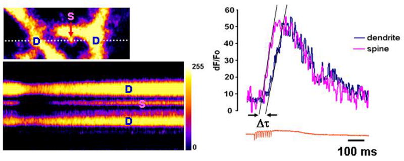 Figure 6