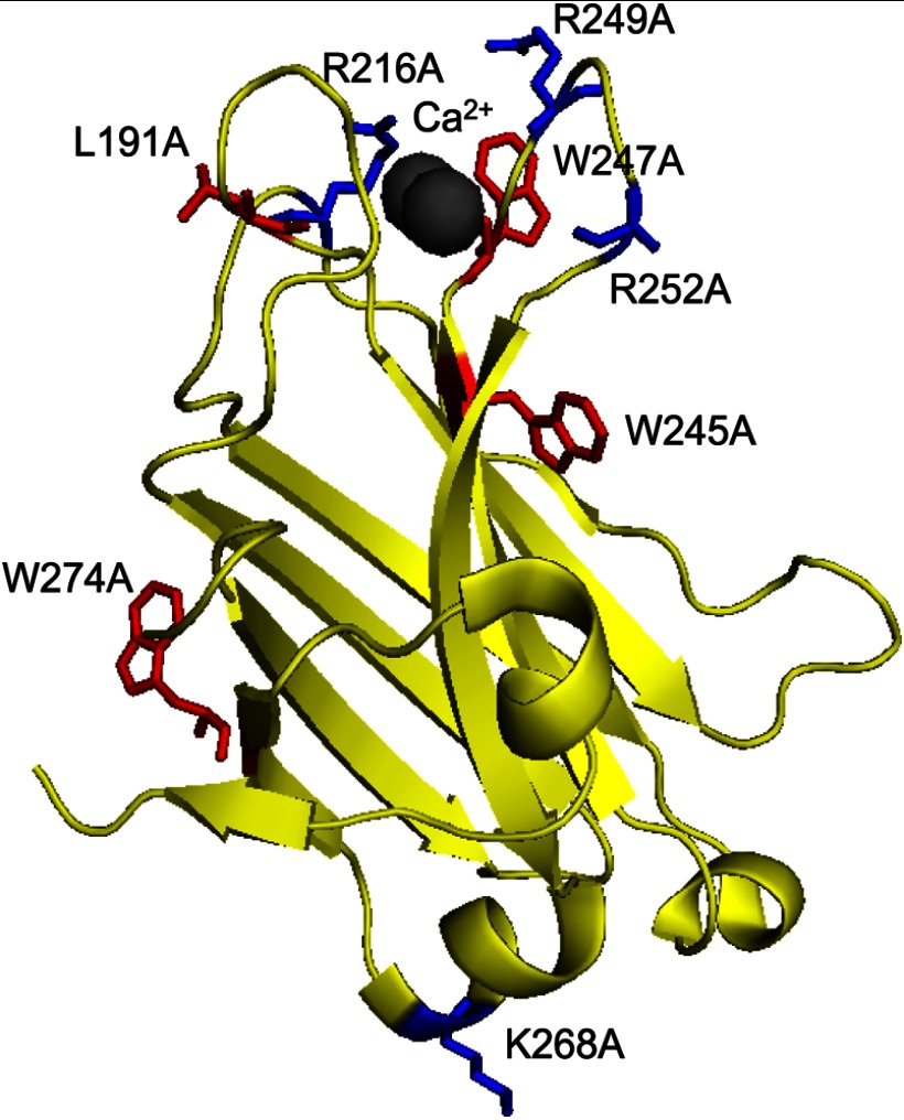 FIGURE 1.