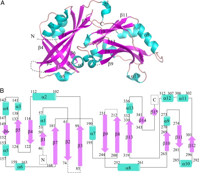 FIG 1