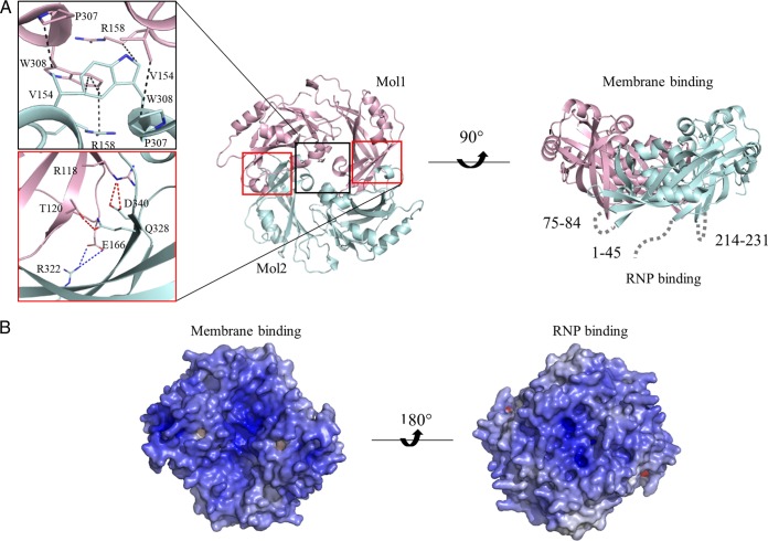 FIG 3