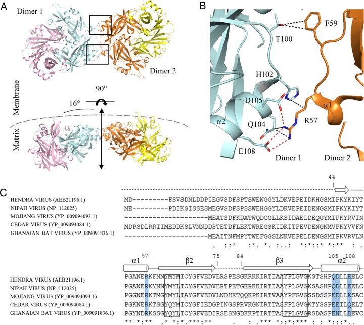 FIG 6