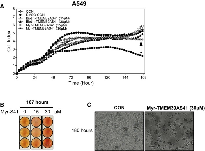 Fig. 3