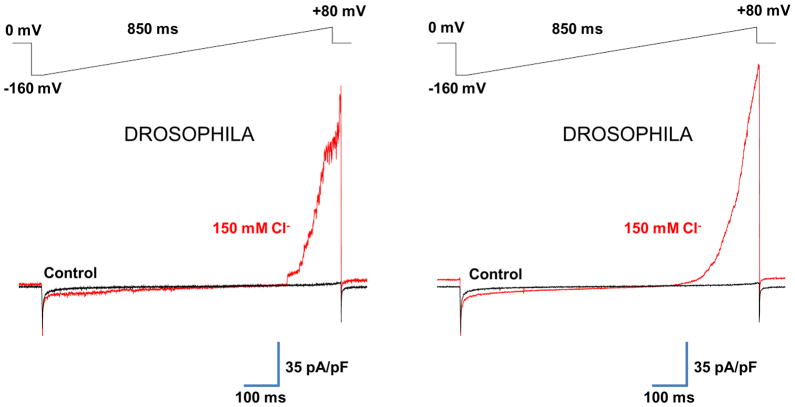 Fig. 8