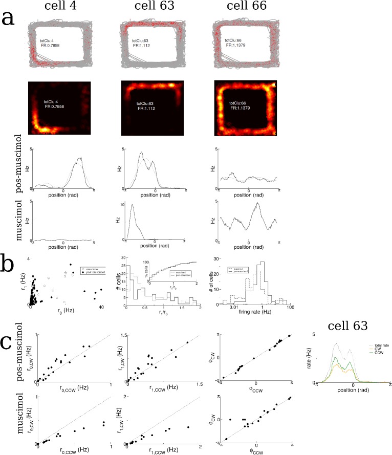 Figure 7—figure supplement 1.