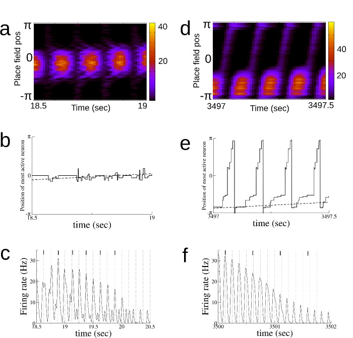 Figure 2—figure supplement 5.