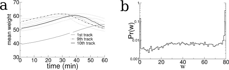 Figure 2—figure supplement 1.