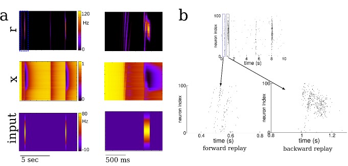 Figure 2—figure supplement 6.