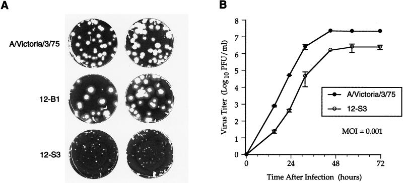 FIG. 1