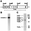 FIG. 1